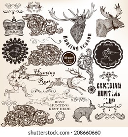 Vector set of calligraphic elements for hunting design