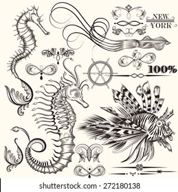 Vector set of calligraphic elements on sea vacation theme for design