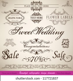 vector set: calligraphic floral  design elements and page decoration - lots of useful elements to embellish your layout