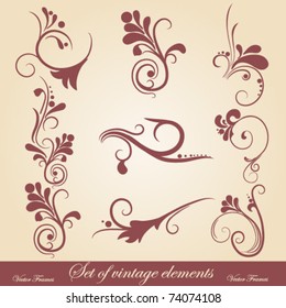 vector set: calligraphic vintage design elements and page decoration - lots of useful elements to embellish your layout.