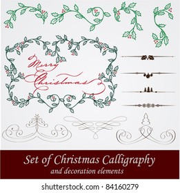 vector set: calligraphic vintage design elements and page decoration. With snowflake, fir, holly and other christmas and New Year elements.