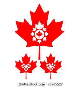 vector set of canada maple leaf