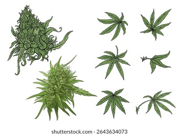 Vector set of cannabis leaves and surreal bud. Botanical, psychedelic, and artistic design perfect for alternative wellness, print, or packaging concepts.