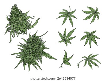 Conjunto de Vector de hojas de cannabis y brote surrealista. Diseño botánico, psicodélico y artístico perfecto para conceptos alternativos de bienestar, impresión o empaque.