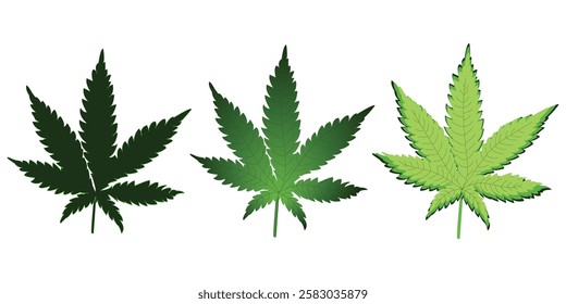 Vector set of cannabis leaves, three cannabis leaves, marijuana leaves, cannabis set on white background