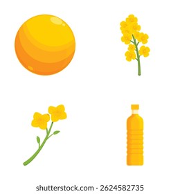 Vector set of canola oil products and plant illustrations isolated on white