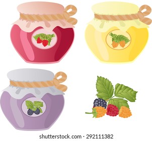 Vector set of cans with raspberry jam and berries raspberries.