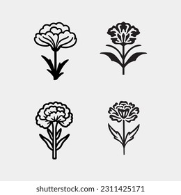 Vector set of Carnation flower by hand drawing on white backgrounds.