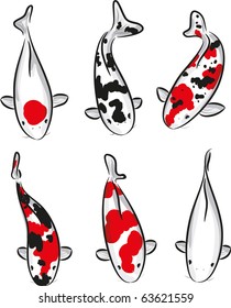 Vector set of Carp koi (breed: Kohaku, Bekko, Sanke, Tancho, Shiromuji, Showa)