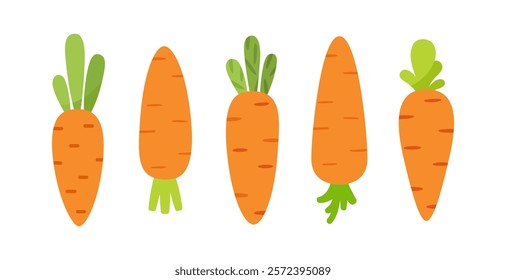 Vector set of carrots for Easter holiday. Healthy eating.