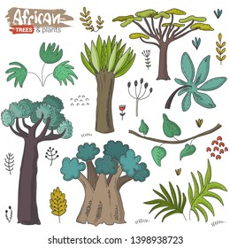 Vector set of cartoon African trees and plants. Colorful jungle hand drawn nature collection isolated on white background