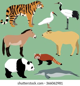 Vector Set Of Cartoon Animals Of China. Giant Panda, Red Panda, Crested Ibis, Japanese Red Crowned Crane, Przewalski's Horse, Golden Takin Bull, South China Tiger, Chinese River Dolphin.