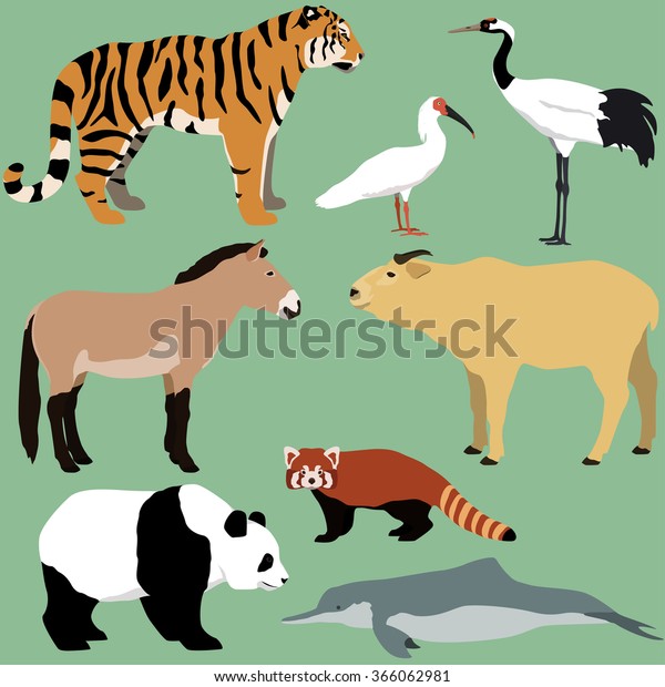 Vector\
set of cartoon animals of China. Giant panda, red panda, crested\
ibis, japanese red crowned crane, Przewalski\'s horse, golden takin\
bull, South China tiger, Chinese river\
dolphin.