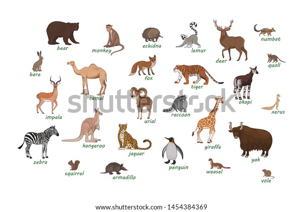 Vector Set Cartoon Animals Isolated On Stock Vector (Royalty Free ...