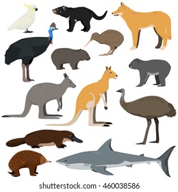 Vector set of cartoon australian animals. Red kangaroo, gray kangaroo, platypus, dingo, white shark, koala, tasmanian devil, emu,echidna, cassowary, kiwi, cockatoo parrot, wombat.