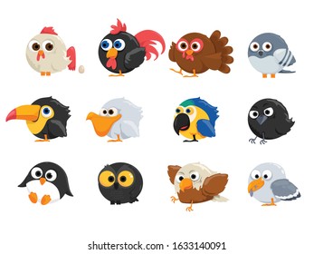 vector set of cartoon birds