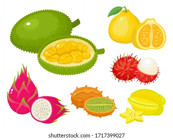 Conjunto vectorial de caricaturas de frutas exóticas brillantes aisladas en blanco. 