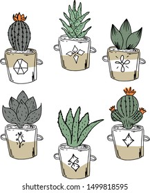 Vector set of  cartoon cacti, aloe and leaves in pots. Collection of exotic plants. Decorative natural elements are isolated on white.