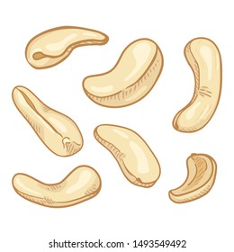 Vector Set of Cartoon Cashew Nuts