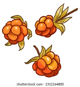 Vector Set of Cartoon Cloudberry Illustration