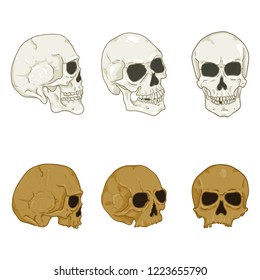 Vector Set of Cartoon Color Human Skull. Headbones Collection.