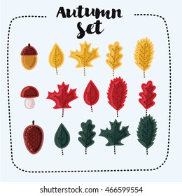 Vector set of cartoon cute colorful illustrations of autumn fallen leaves, acorn, cone and mushroom , isolated on white background