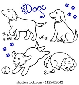 Vector set of cartoon cute dogs in different poses