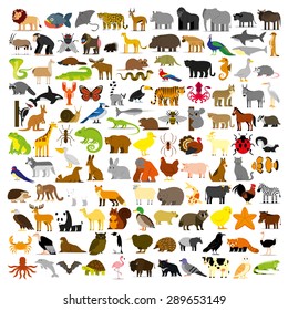 Vector Set Of Cartoon Different Animals Isolated