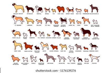 Vector Set Of Cartoon Dogs Isolated On White Background