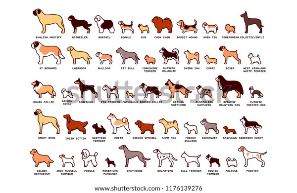 Vector Set Cartoon Dogs Isolated On Stock Vector (Royalty Free ...