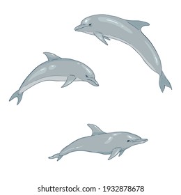 Vector Set of Cartoon Dolphin Illustrations