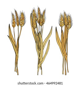 vector set of cartoon doodle wheat sheaves