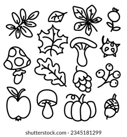 Vector set of cartoon doodles on the theme of autumn leaves, vegetables, fruits. Autumn nature, objects and symbols. Contour doodle on a white background
