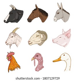 Vector Set of Cartoon Farm Animals Heads. Side View.