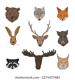 Vector Set of Cartoon Forest Animals Heads. Front View.