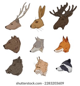 Vector Set of Cartoon Forest Animals Heads. Side View.