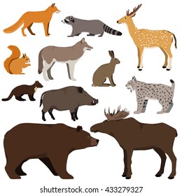 Conjunto vectorial de animales forestales de dibujos animados. Oso marrón, mapache, ardilla, ciervo manchado, lince, marten, jabalí, alce, lobo, zorro, liebre.