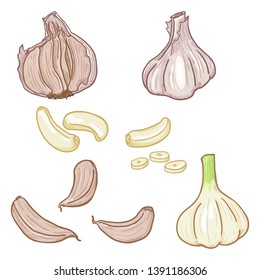 Vector Set of Cartoon Garlic Illustrations. Whole Bulb and Cloves.