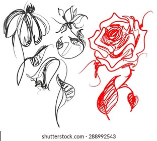 vector set of cartoon graphics with floral patterns with roses and tulips for design. Floral natural design. Graphic, sketch drawing.