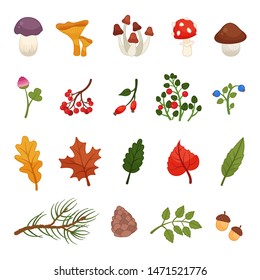 Vector set of cartoon icons. Forest elements. Illustration of leaves, berries, plants and mushrooms.
