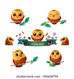 vector Set Cartoon illustration lovely collection of  cute ox eyed owls sitting on oak branch. love owls. because owls. Colorful funny print art. Clip art isolated on white background. EPS 10 