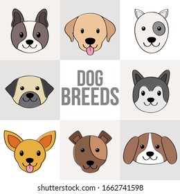 Vector set of cartoon illustrations in simple flat style - funny and friendly dogs and puppies