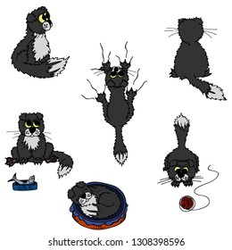 Vector set of cartoon imagesof a gray fold  cat in different poses. The drawing in the style of hand drawn. The kitten eats, sleeps, shkodnichaet, sits back and sideways. Positive character. Vector