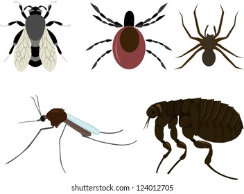 vector set of cartoon insects