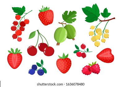 Vector set cartoon juicy cranberries, currants, raspberries, cherries, goosberries and blueberries, strawberries isolated on a white. Bright berries branch used for magazine, poster, menu