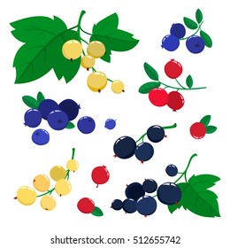Vector set cartoon juicy cranberries, currants and blueberries with green leaves isolated on a white background. Bright berries branch.