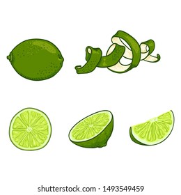 Vector Set of Cartoon Lime Fruits. Whole, Peeled and Sliced