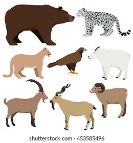 Vector set of cartoon mountain animals. Grizzly bear, mountain goat, markhor, nubian ibex, mouflon, puma, snow leopard, golden eagle.