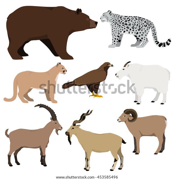 Vector Set Cartoon Mountain Animals Grizzly Stock Vector