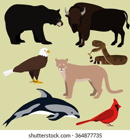 Vector set of cartoon north american animals. Bald eagle, red northern cardinal, cougar, bison, american black bear, rattlesnake, pacific dolphin.